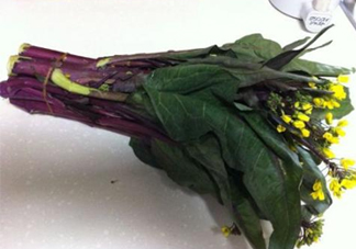 紅菜苔怎么種？如何正確采摘紅菜苔