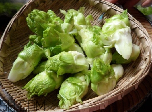 兒菜為什么叫兒菜？兒菜什么季節(jié)吃的