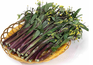 洪山菜苔多少錢一斤？紅菜苔多少錢一斤