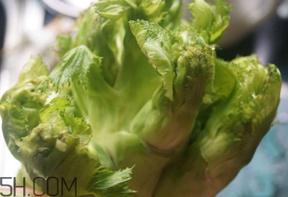 兒菜為什么叫兒菜？兒菜什么季節(jié)吃的