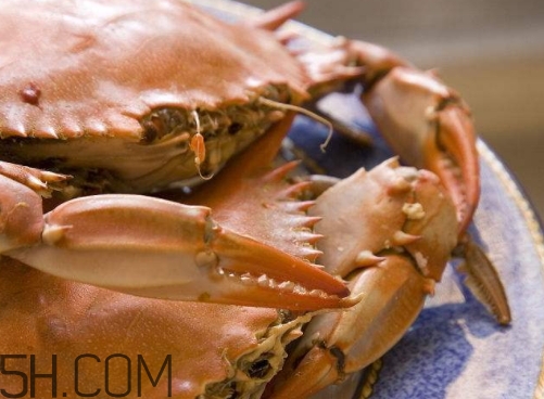 冬蟹怎么做？冬蟹的做法大全