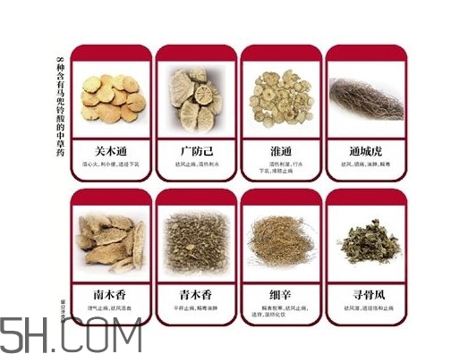 含馬兜鈴酸的藥都不能吃嗎？馬兜鈴酸真的會(huì)致癌嗎