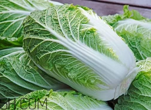 大白菜什么時(shí)候種最合適？大白菜怎么做好吃