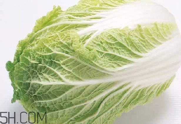 大白菜什么時(shí)候種最合適？大白菜怎么做好吃