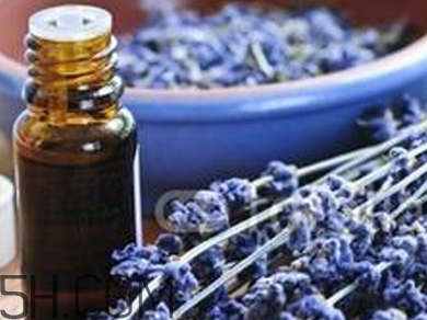 如何用精油護發(fā)？薰衣草精油護發(fā)怎么用？