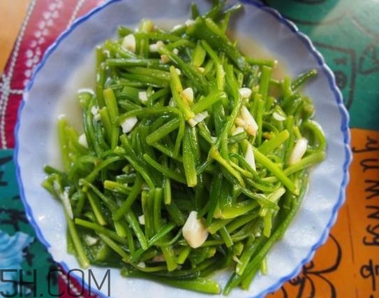 麗江水性楊花是什么菜？水性楊花菜怎么做？