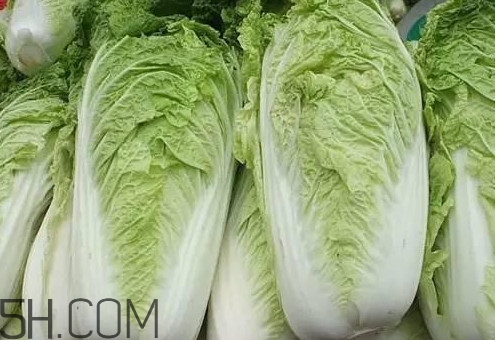 大白菜什么時(shí)候種最合適？大白菜怎么做好吃