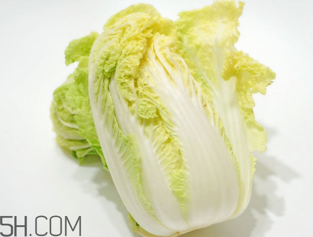 大白菜起源是哪里？大白菜產(chǎn)地分布有哪些