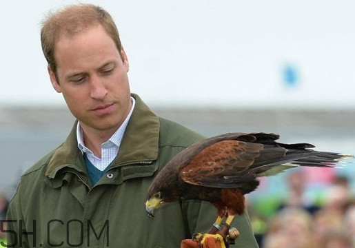 為什么會禿頂？禿頂的人聰明嗎