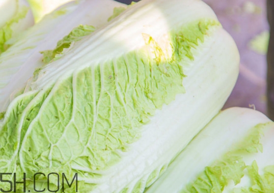 大白菜可以生吃嗎？大白菜可以隔夜吃嗎