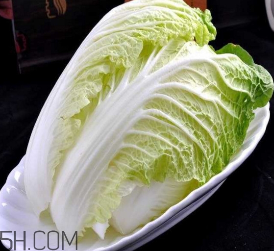 大白菜起源是哪里？大白菜產(chǎn)地分布有哪些