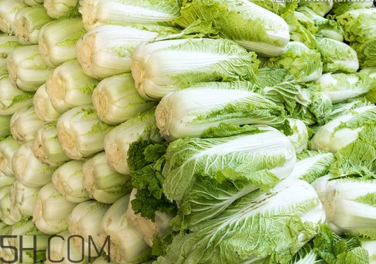 冬儲(chǔ)大白菜怎么才不會(huì)壞？冬儲(chǔ)大白菜什么時(shí)候上市