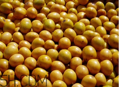 南酸棗什么時候成熟？南酸棗怎么種