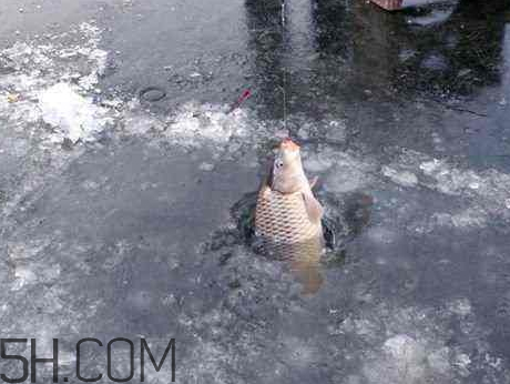 立冬后還好釣魚嗎 立冬前后釣魚技巧 立冬后還好釣魚嗎 立冬前后釣魚技巧