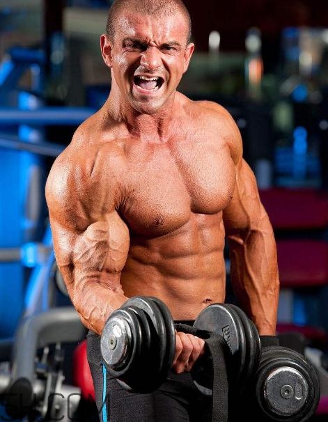 啞鈴彎舉和杠鈴彎舉哪個(gè)好？啞鈴彎舉和杠鈴彎舉區(qū)別