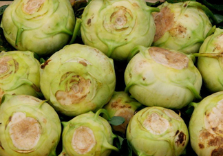 大頭菜是發(fā)物嗎？大頭菜是卷心菜嗎