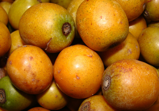 南酸棗什么時(shí)候成熟？南酸棗怎么種