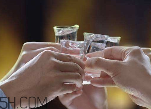 一生一世是什么酒？一生一世酒多少錢一瓶