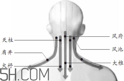 脖子可以刮痧嗎？脖子拔火罐有什么好處