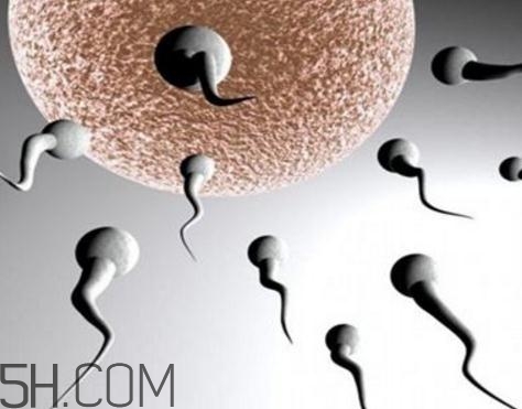 弱精癥可以治愈嗎？弱精癥吃什么藥好得快？