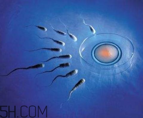 弱精癥能做試管嬰兒嗎？弱精癥可以人工受精嗎？