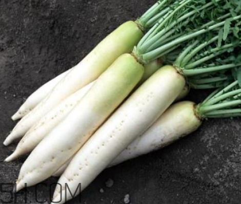 白蘿卜為什么會辣 白蘿卜辣怎么辦