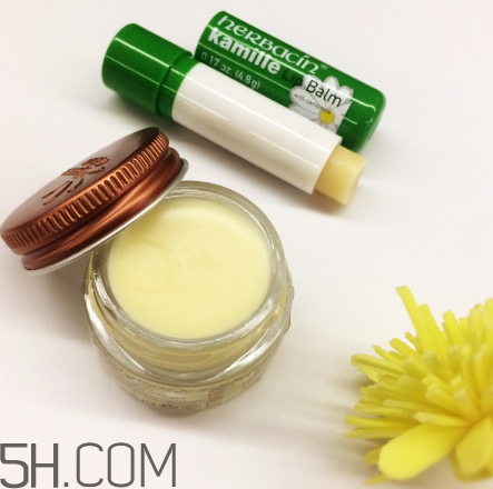 賀本清德國小甘菊潤唇膏好用嗎？賀本清德國小甘菊潤唇膏測評(píng)