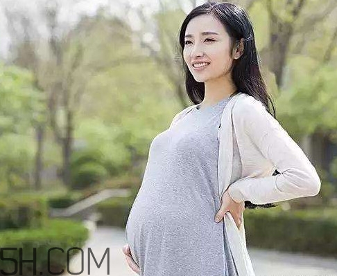 懷孕了可以吃可樂雞翅嗎？可樂雞翅什么人不能吃