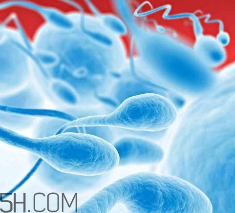 無(wú)精癥能射精嗎？無(wú)精癥能勃起嗎？