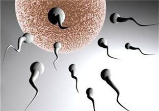 無精癥能射精嗎？無精癥能勃起嗎？