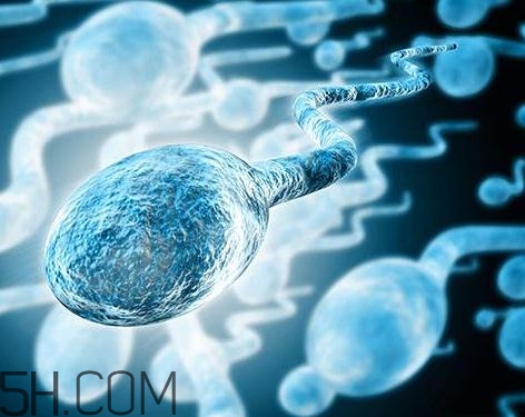 先天性無精癥怎么辦？先天性無精癥能治好嗎？