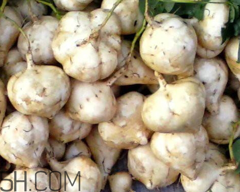 涼薯什么時(shí)候種 涼薯怎么種植 涼薯什么時(shí)候種 涼薯怎么種植