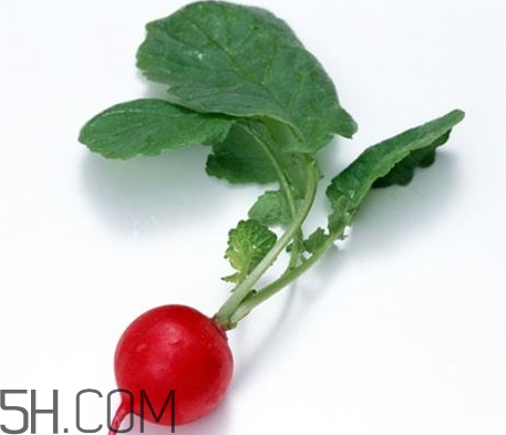 蘿卜是涼性的嗎 蘿卜是酸性還是堿性 蘿卜是涼性的嗎 蘿卜是酸性還是堿性