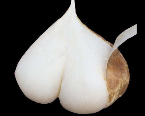 ?白地瓜可以煮湯嗎 白地瓜可以燉排骨嗎 ?白地瓜可以煮湯嗎 白地瓜可以燉排骨嗎