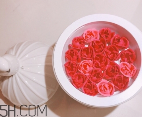 拉杜麗鳥籠腮紅多少錢？laduree2018拉杜麗鳥籠腮紅試色