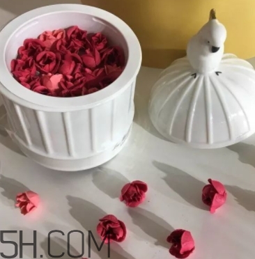 拉杜麗鳥籠腮紅多少錢？laduree2018拉杜麗鳥籠腮紅試色