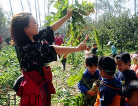 秋后拔蘿卜再硬也要碰是什么意思？