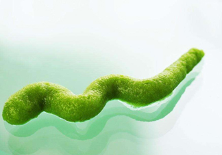 芥末有毒嗎？芥末有害嗎