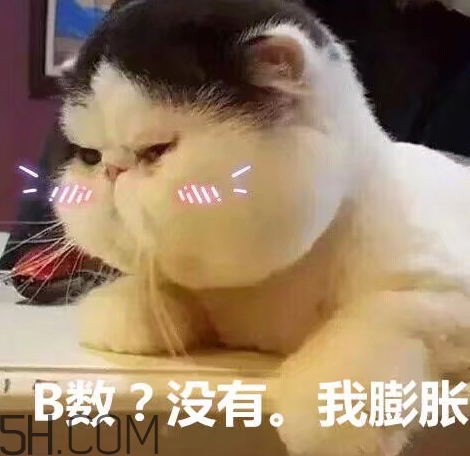 b數(shù)沒有我膨脹什么意思？b數(shù)沒有我膨脹表情包