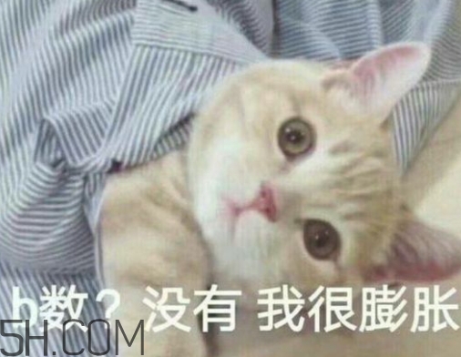 b數(shù)沒有我膨脹什么意思？b數(shù)沒有我膨脹表情包