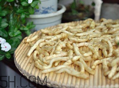 什么時候嫩姜芽上市？姜芽的功效與作用