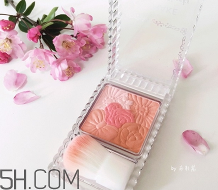 腮紅啞光好還是珠光好？怎樣挑選適合自己的腮紅？