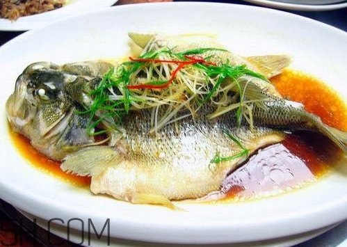 松江鱸魚怎么做？松江鱸魚養(yǎng)殖技術(shù)