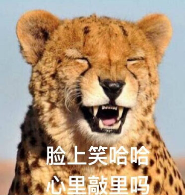 敲里lailai是什么意思？敲里lailai表情包無(wú)水印