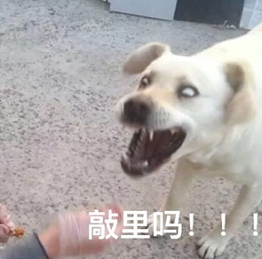 敲里lailai是什么意思？敲里lailai表情包無(wú)水印