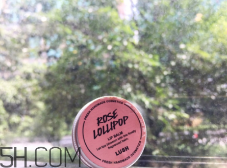 lush潤(rùn)唇膏好用嗎？lush潤(rùn)唇膏多少錢？