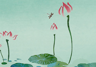 佰草世家效果真的假的？佰草世家怎么樣？