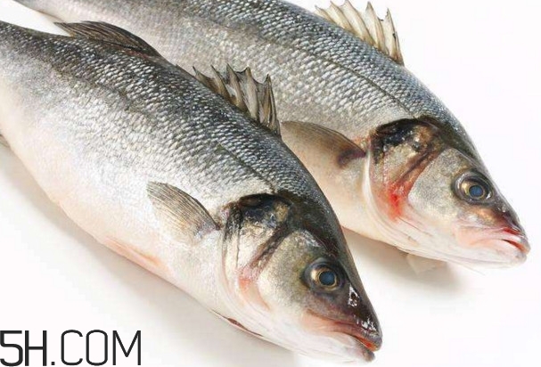 鱸魚(yú)不能和什么一起吃？鱸魚(yú)可以和雞蛋一起吃嗎