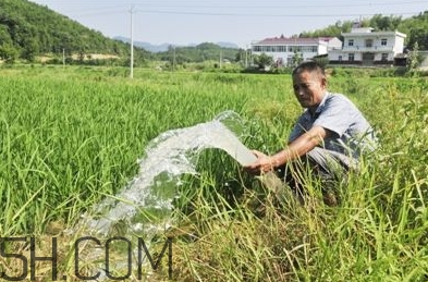 女生說(shuō)抽水什么意思？女生發(fā)消息想抽水什么意思？