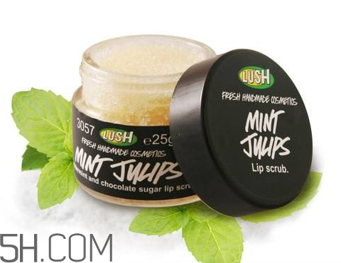 lush唇部磨砂膏好用嗎？lush唇部磨砂膏多少錢？